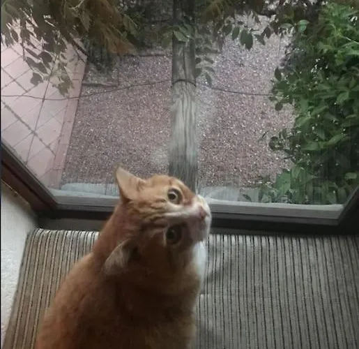 Country House Caravate