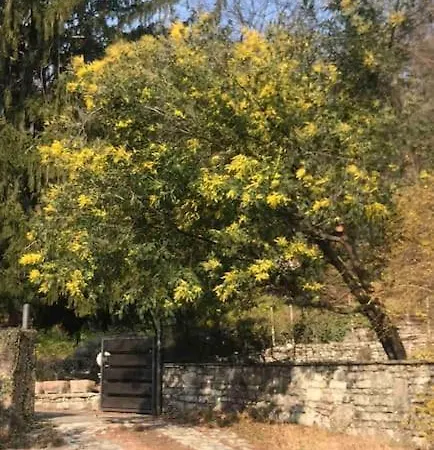 Country House *