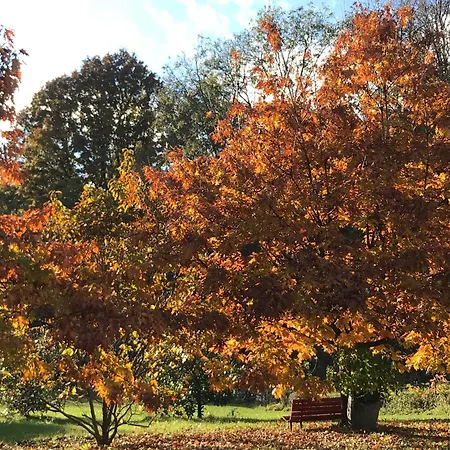 דירה Country House Caravate