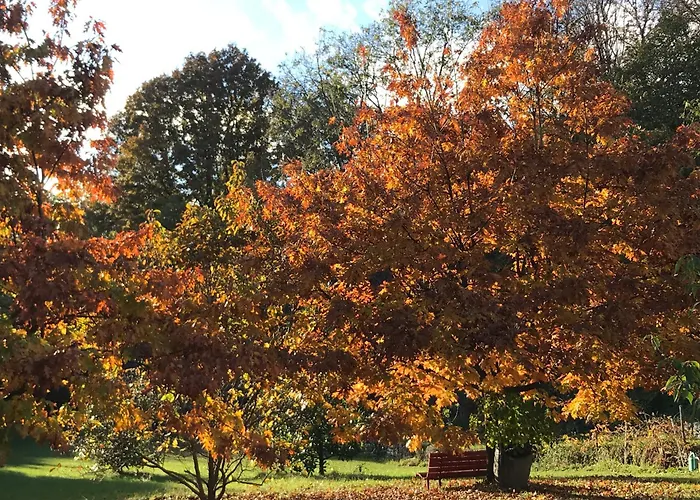 דירה Country House Caravate